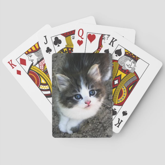 TOPPEN CUTE Kitten Spelkort (Baksidan)