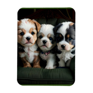 Toppen Cute Puppies på kuch 2 Magnet