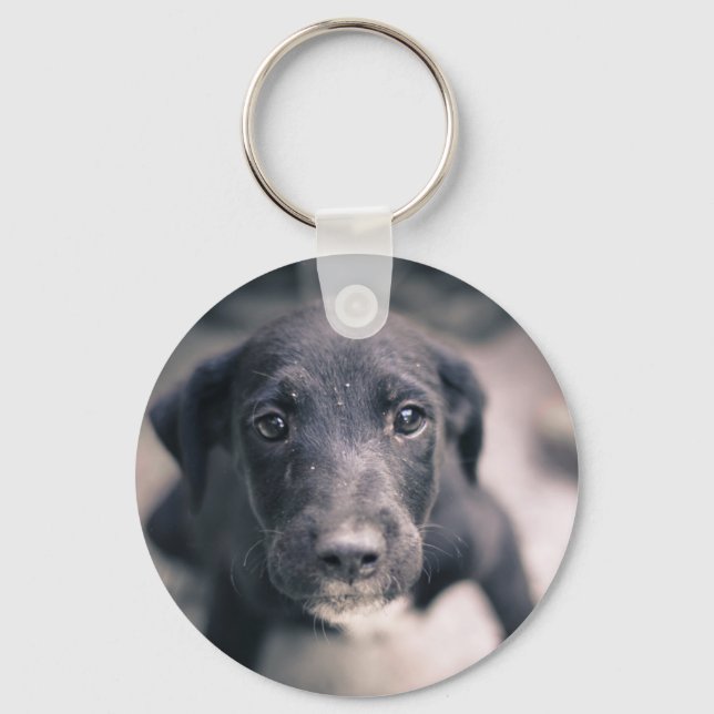 Toppen Cute Puppy Hund Nyckelring (Framsida)
