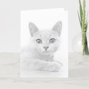 Toppen Cute Scottish Fold Kitten Cat Helgkort