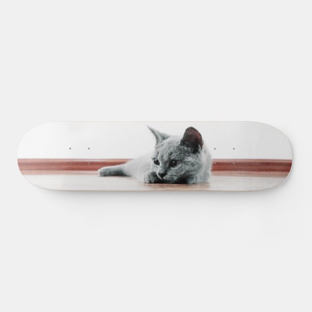 Toppen Cute Scottish Fold Kitten Cat Skateboard Bräda 19,5 Cm (Horz)