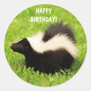 Toppen Cute Skunk Birthday Runt Klistermärke