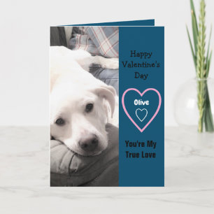 Toppen Cute Valentine Day White Puppy Hund Blue Kort