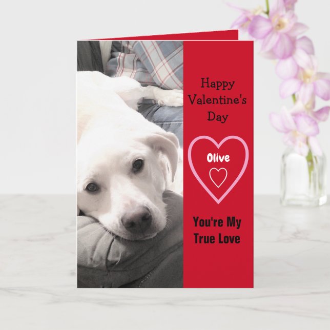 Toppen Cute Valentine Day White Puppy Hund Red Kort (Orkide)
