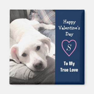 Toppen Cute Valentines Day Navy Blue Hund Magnet