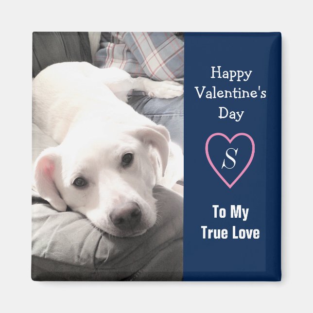 Toppen Cute Valentines Day Navy Blue Hund Magnet (Framsidan)