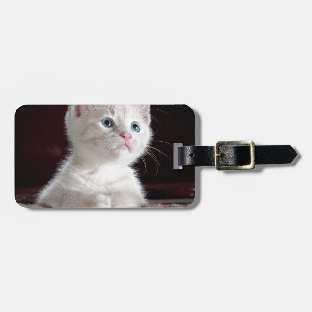 Toppen Cute White Kitten Bagagebricka (Horisontell Framsida)