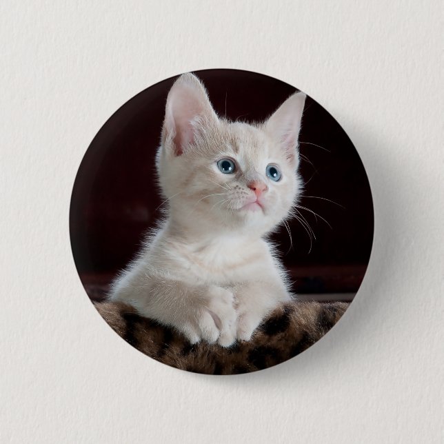 Toppen Cute White Kitten Knapp (Framsida)