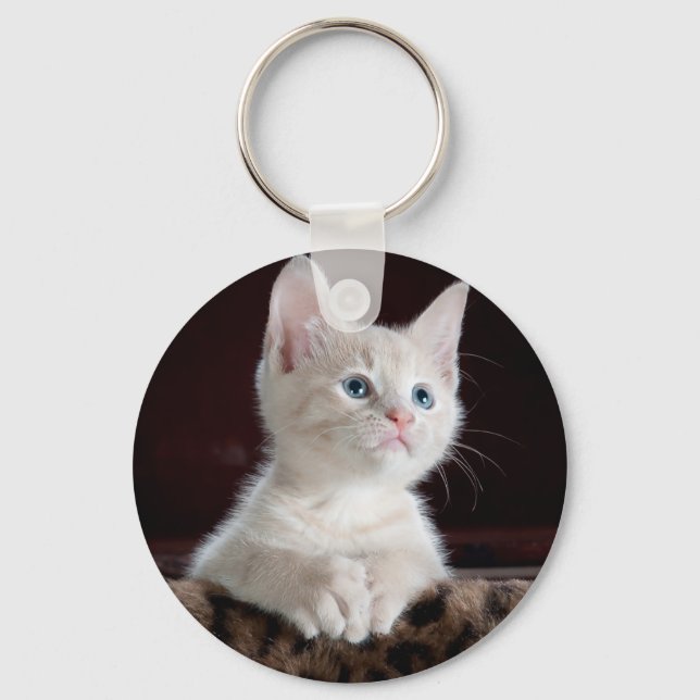 Toppen Cute White Kitten Nyckelring (Framsida)