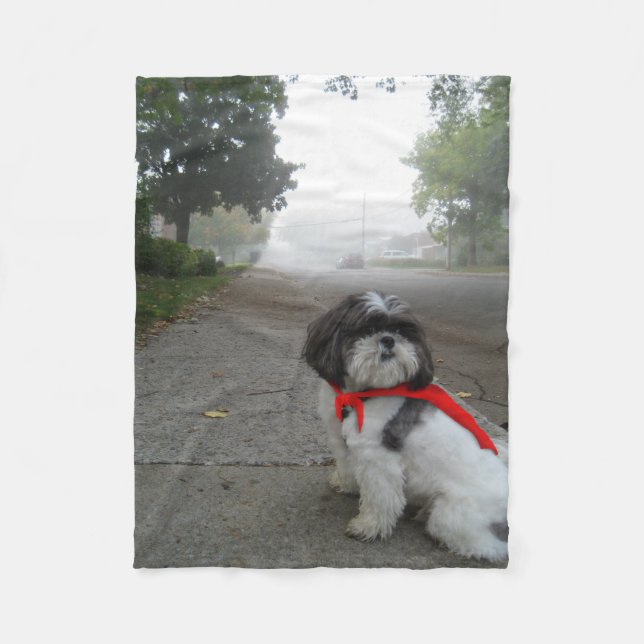 Toppen filt för valp för Shih Tzu ullhusdjur (Framsidan)