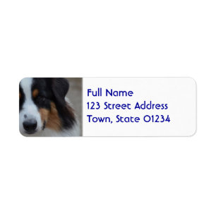 Toppen gullig australian shepherd returadress etikett