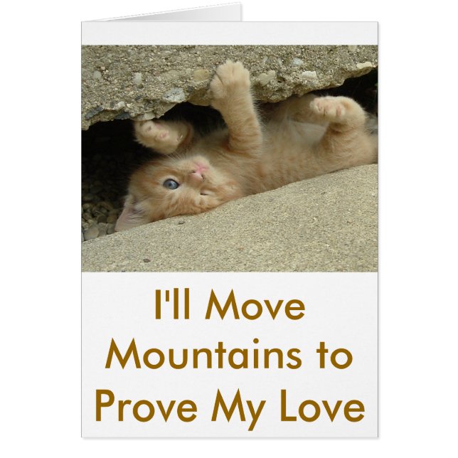 Toppen Hero Kattunge Hälsningskort (Framsidan)