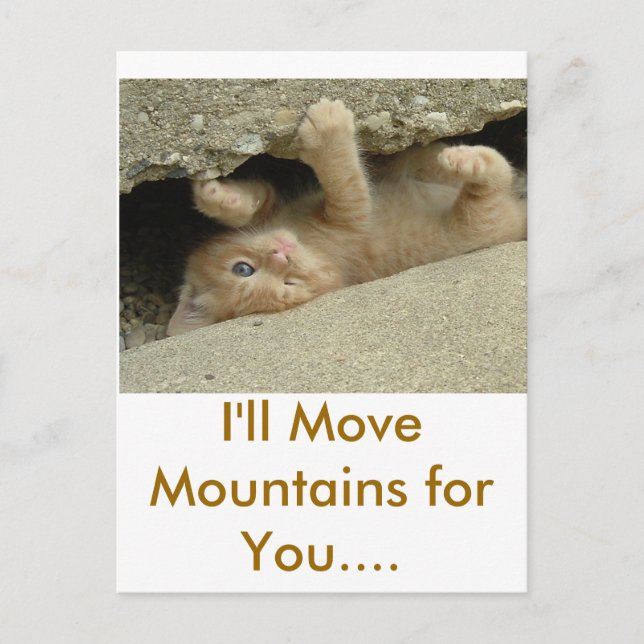 Toppen Hero Kattunge Vykort (Framsida)