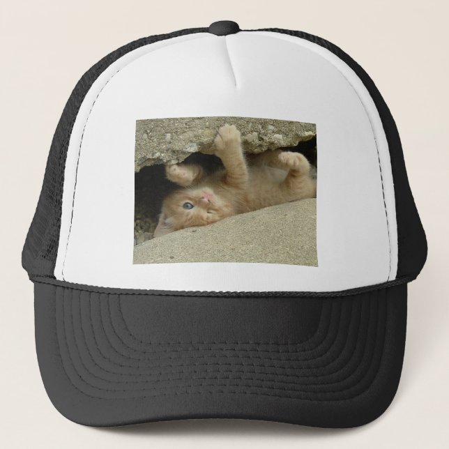 Toppen Hero Orange Tabby Kitten Keps (Framsida)