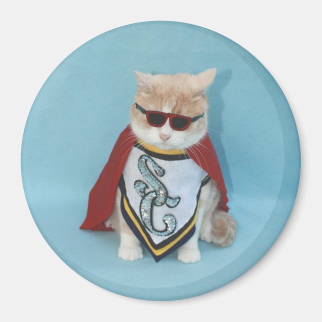 Toppen Katt Magnet (Framsidan)