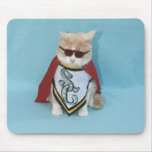 Toppen katt musmatta