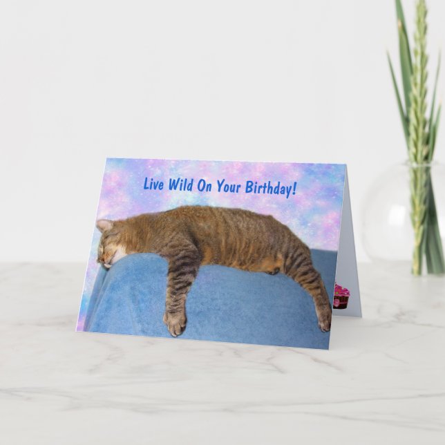 Toppen Lazy Party Cat Birthday Kort (Framsida)