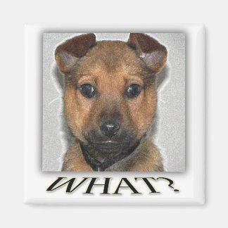 Toppen marionettmagnet magnet