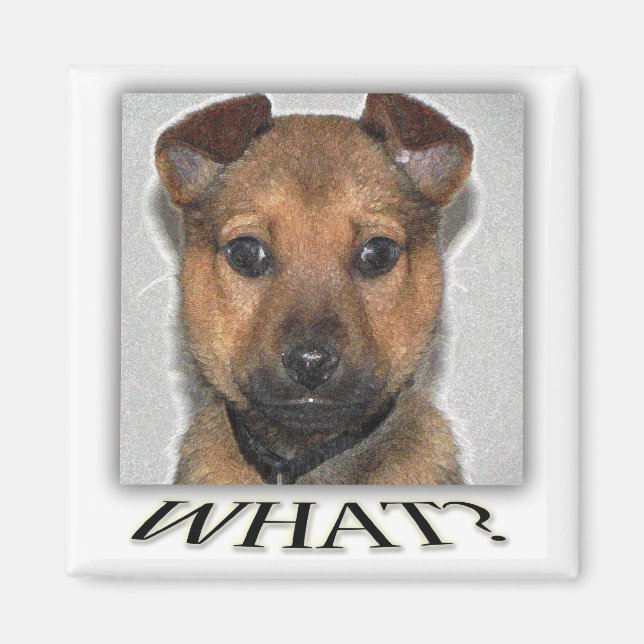 Toppen marionettmagnet magnet (Framsidan)