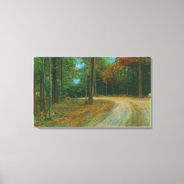 Toppen Mitten Ravine of Saratoga Battlefield Canvastryck (Framsida)