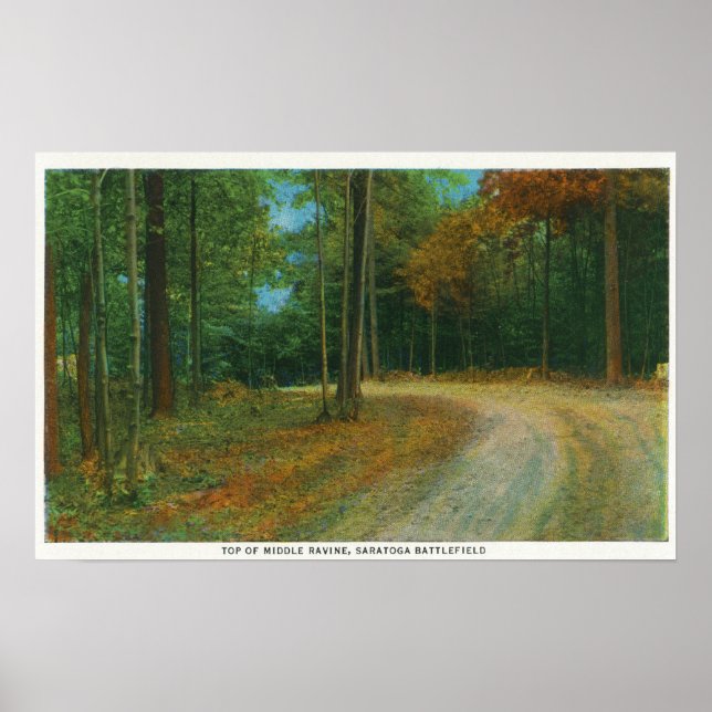 Toppen Mitten Ravine of Saratoga Battlefield Poster (Framsidan)