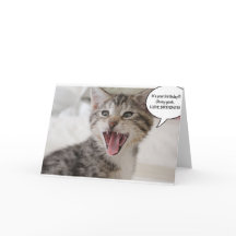 Toppen överraskad födelsedagskattunge!