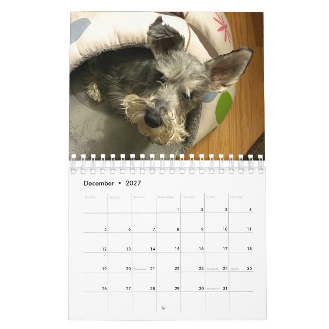 Toppen Owen 2016 kalender (Dec 2027)