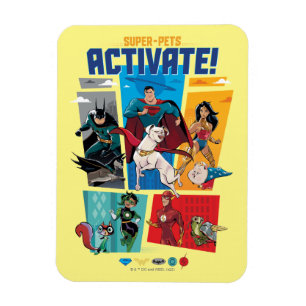 Toppen-Pets & Justice League - Aktivera! Magnet