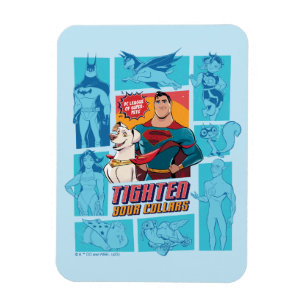 Toppen-Pets & Justice League - Tighars Your Collar Magnet
