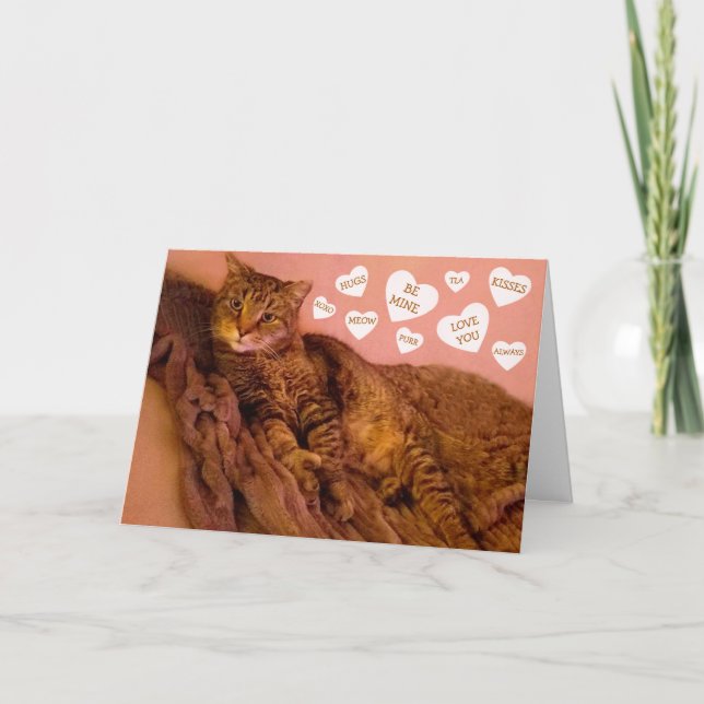 Toppen Romantic Cat Funny Valentine Day Helgkort (Framsida)