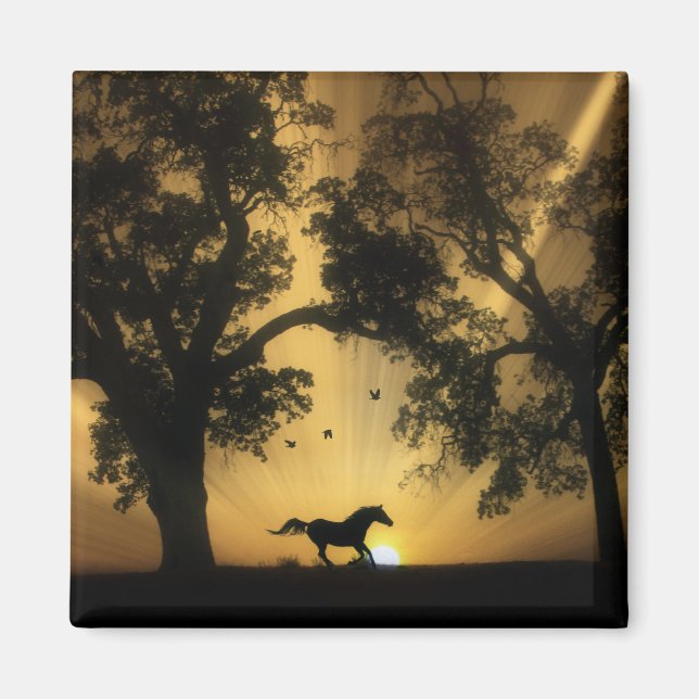 Toppen Söt Galloping Free Horse Magnet (Framsidan)