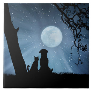 Toppen Söt Hund och Katt med Måne Art Kakelplatta