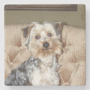 Toppen Sweet Yorkie Posing Stenunderlägg