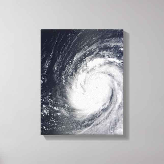 Toppen Typhoon Choi-wan Canvastryck (Framsida)