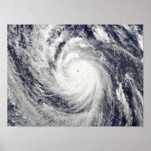 Toppen Typhoon Lupit Poster