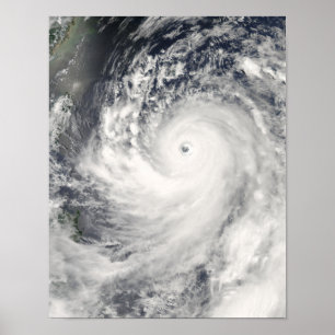 Toppen Typhoon Man-Yi Poster