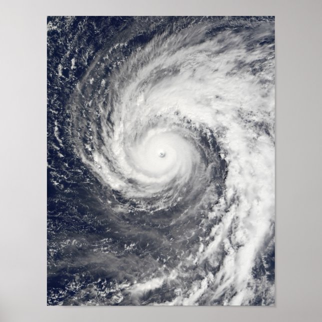 Toppen Typhoon Podul Poster (Framsidan)