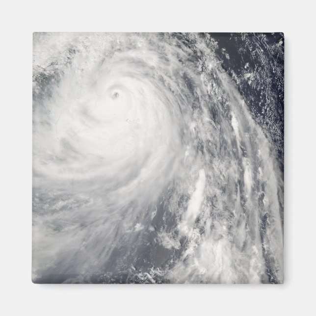 Toppen Typhoon Wipha Magnet (Framsidan)