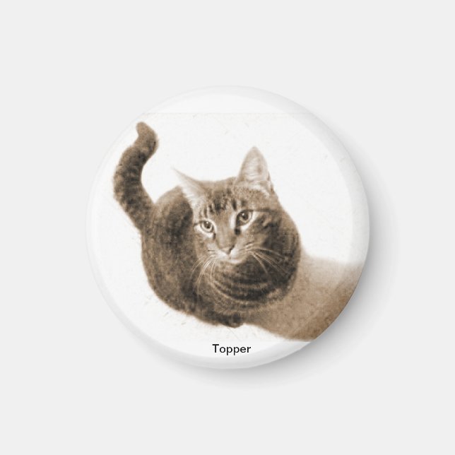Topper the Cat Magnet (Framsidan)