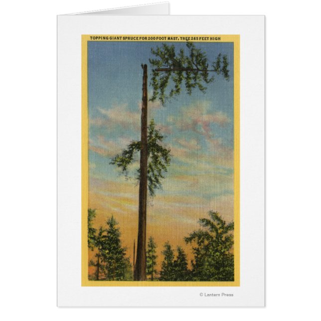 Topping Giant Spruce i 200 ft. Segling Hälsningskort (Framsidan)