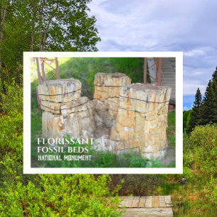 Toppmötena i Trio i Träd, florisont Fossil Beds, C Vykort
