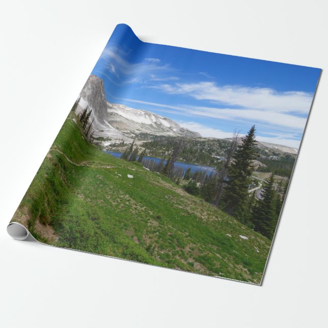 Toppmötet i Scenia Hiking Snowy Range Mountain Wyo Presentpapper (Utrullad)