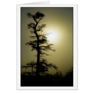 Toppmöteträd Hälsningskort