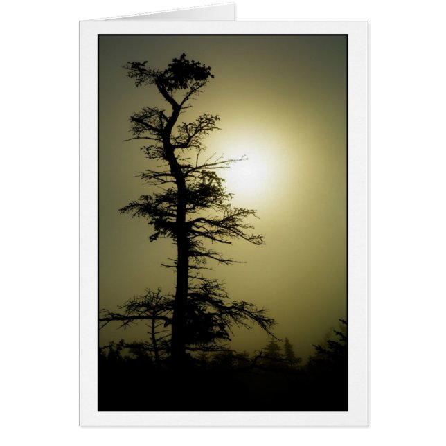 Toppmöteträd Hälsningskort (Framsidan)