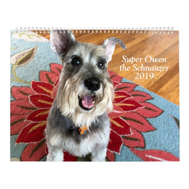 Toppna Owen kalendern för Schnauzer 2019 Kalender (Omslag)
