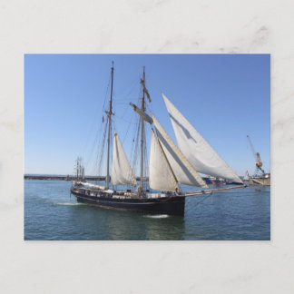 Topsail gulet vykort