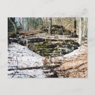 torby hollings på is vykort