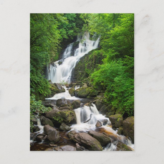 Torc vattenfall naturskön, Irland Vykort (Framsida)