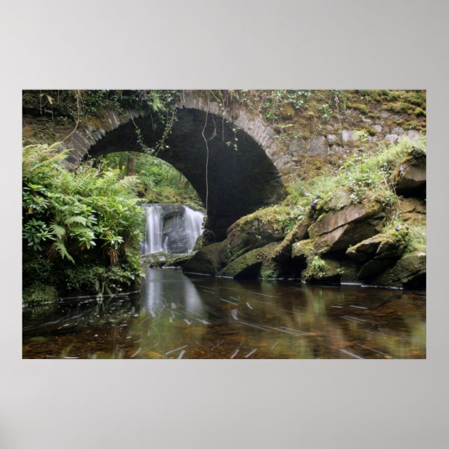 Torc Waterfall Bridge Poster (Framsidan)
