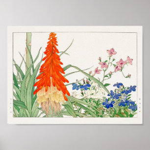 Torch lily, Lobelia av Tanigami Konan Poster